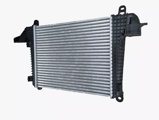 Intercooler Delivery Express 2.8 3.8 Turbodiesel