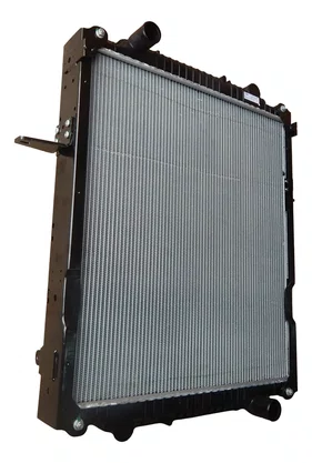 Radiador Agua Vw 17-250e / 24-250e 2t2121253ac