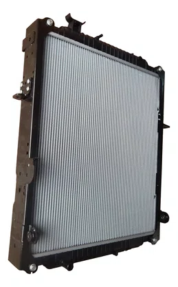 Radiador Agua Vw 17-250e / 24-250e 2t2121253ac
