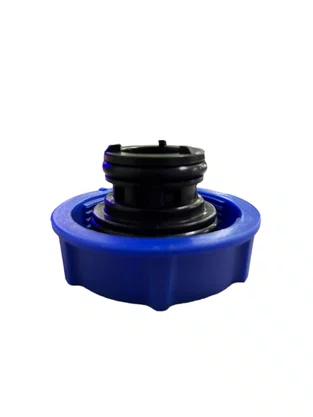 TAMPA VALVULADA AZUL 1,2 BAR  COM MOTOR EURO V NOVO FH 2016<