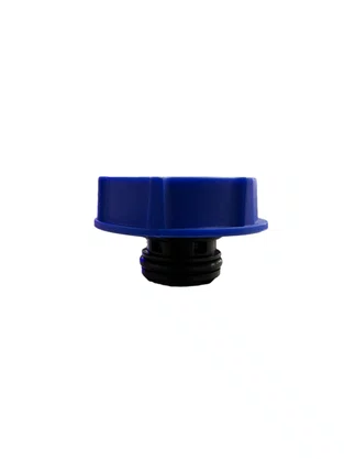 TAMPA VALVULADA AZUL 1,2 BAR  COM MOTOR EURO V NOVO FH 2016<