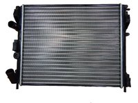 Rad agua Renault Clio Logan Sandero Kangoo Symbol