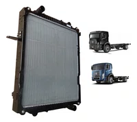 Radiador Agua Vw 17-250e / 24-250e 2t2121253ac